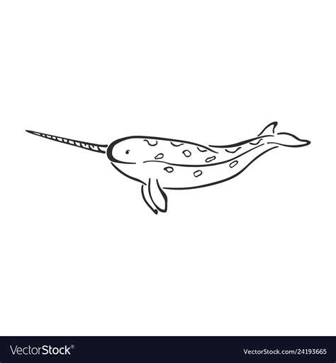 Narwhal Whale Character Abstract Ink Hand Drawn Vector Image