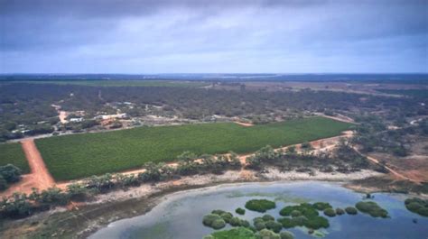 Australian Wine Industry Not All Doom And Gloom Wbm Online