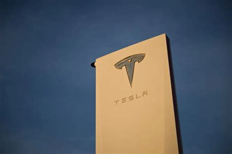 AMLO minimiza pausa en construcción de Tesla en Nuevo León