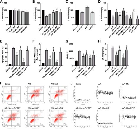 Figure 2 From Melatonin Attenuates Anoxia Reoxygenation Injury By