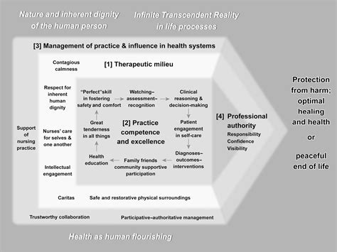 Figure From Fundamental Care Guided By The Careful Nursing Philosophy