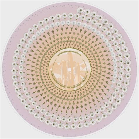 traveller chris stapleton vinyl lp  cd vertigo vinyl