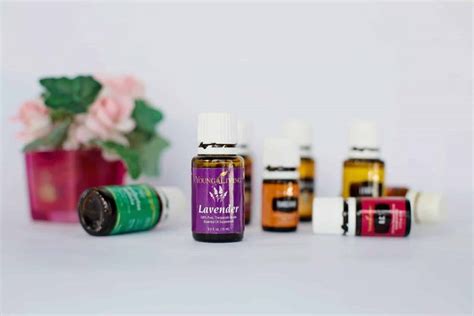 Essential Oils For Fleas - PestSeek