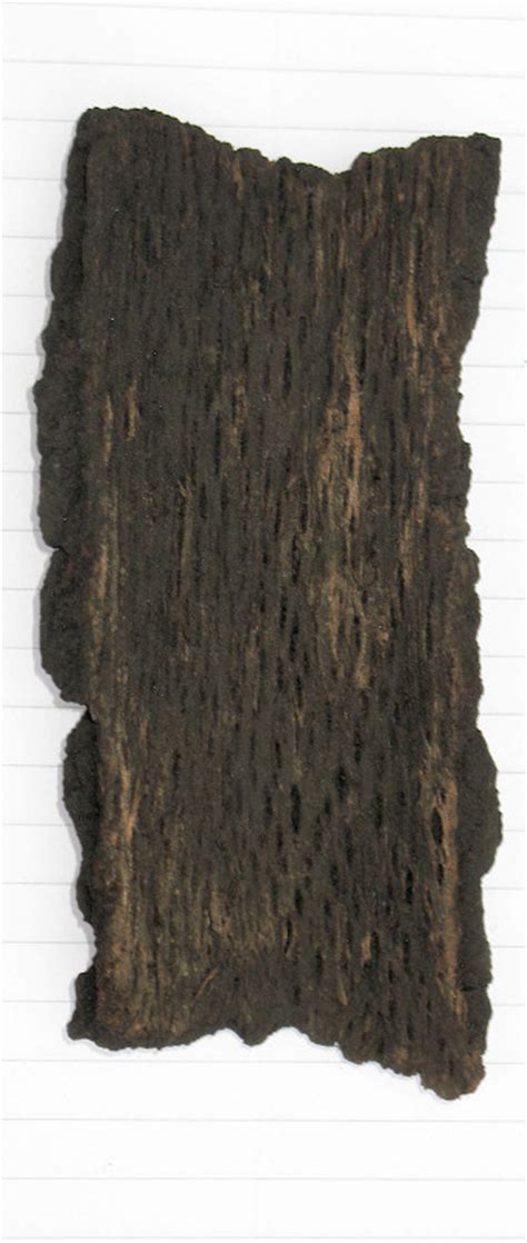 Review Of Cowboy Lump Charcoal 2013 Naked Whiz Ceramic Charcoal Cooking