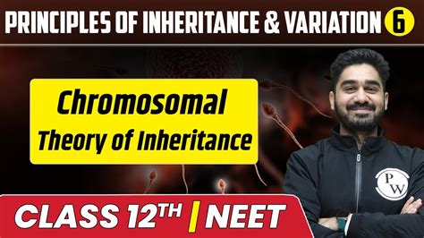 Principles Of Inheritance Variation 06 Chromosomal Theory Of