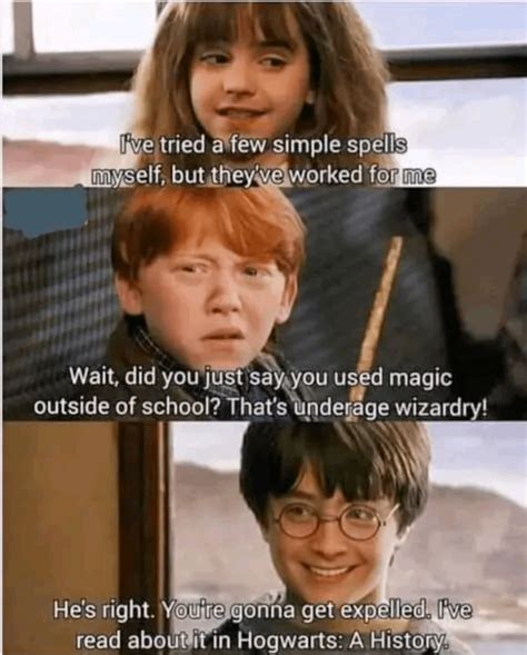 You dare use my own spells against me POTTER : r/HarryPotterMemes