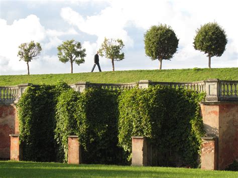 images tree grass lawn mansion house suburb ivy park