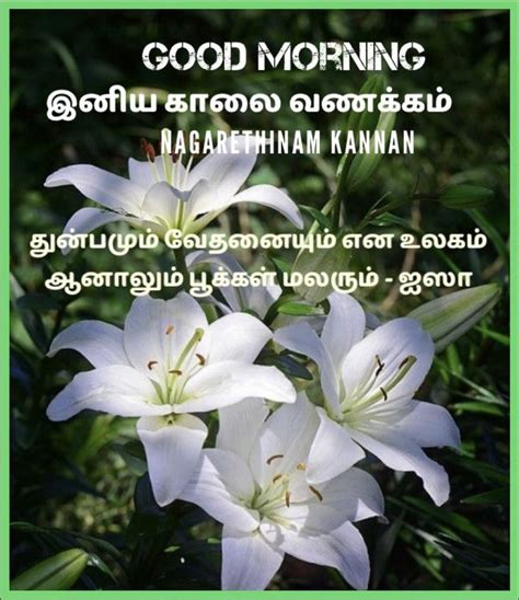 Pin By Nagarethinam Kannan On Morning Quotes