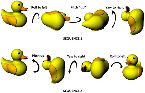 Non Commutativity Of Rotations In Three Dimensions Showing That The Download Scientific