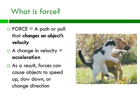 What Is Force Force A Push Or Pull That Changes An Objects Velocity