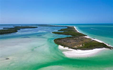 Private Snorkeling Watersports St Pete St Pete Beach