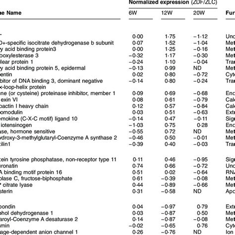 Genes Differentially Expressed In Adipose Tissue Of Zdf Rats Download