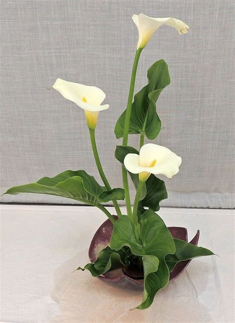 Ikbna Fresh Flowers Arrangements Ideas Ikebana Flower Arrangement