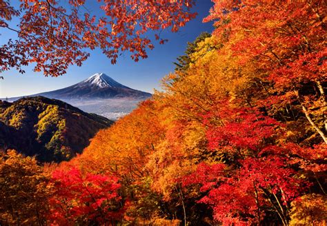 紅葉の山へ行こう 紅葉スポット、山域・地域別、最適期、おすすめポイントを紹介 山と溪谷オンライン