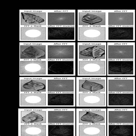 Shows the effect of the FFT algorithm on plant sample image. | Download Scientific Diagram