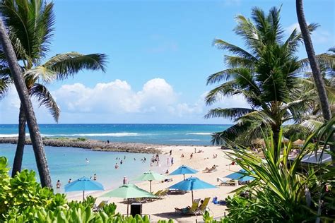 5 best North Shore Oahu beaches that are perfect for turtles, snorkeling, surfing, swimming 🌴 ...