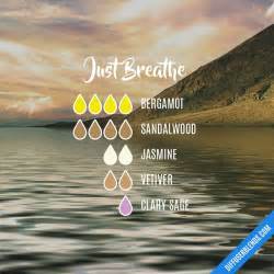 Just Breathe — Essential Oil Diffuser Blend | Essential oils, Essential ...