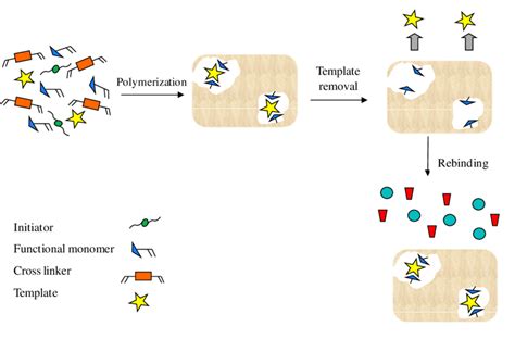 Scheme 1 Representation Of The Molecular Imprinting Process