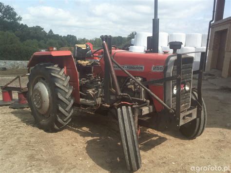 Foto Ciagnik Massey Ferguson Id 539012 Galeria Rolnicza Agrofoto