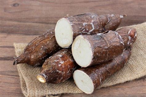 Farine De Manioc D Cryptage Complet Et Quelques Recettes Faciles Et