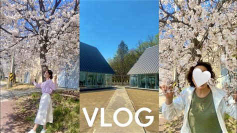 Vlog 일상브이로그ㅣ봄 바람 휘날리며~ 벚꽃놀이 막차 탑승 🌸엄마랑 벚꽃 데이트🌸메이데이 카페 Youtube