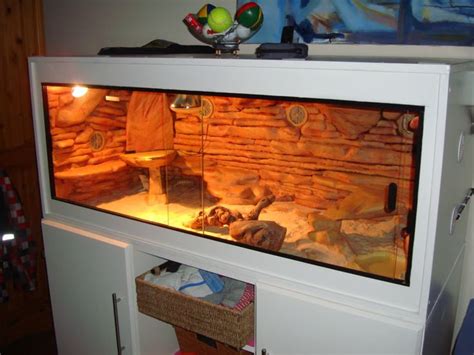 Diy Bearded Dragon Terrarium Diy Bearded Dragon Terrarium Ideas