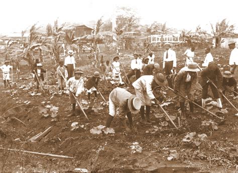 Historia De La Etnia Negra En Panam