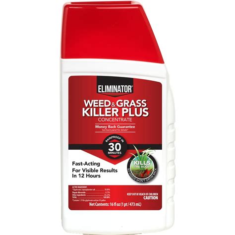 Eliminator Weed And Grass Killer Plus Concentrate 16 Fl Oz Walmart