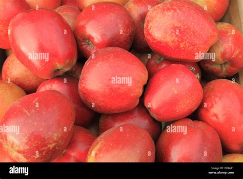 Apple Ton Manzanas Malus Domestica Farm Shop Pantalla Denominada