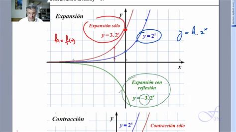 Expansi N Y Contracci N De La Funci N Exponencial Pura O Con Reflexi N