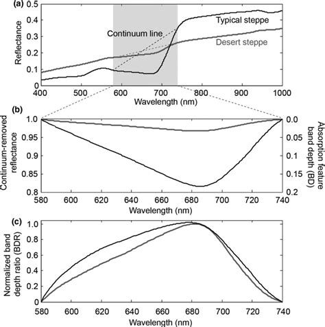 Mean Canopy Reflectance Spectrums In The Typical And Desert Steppes And