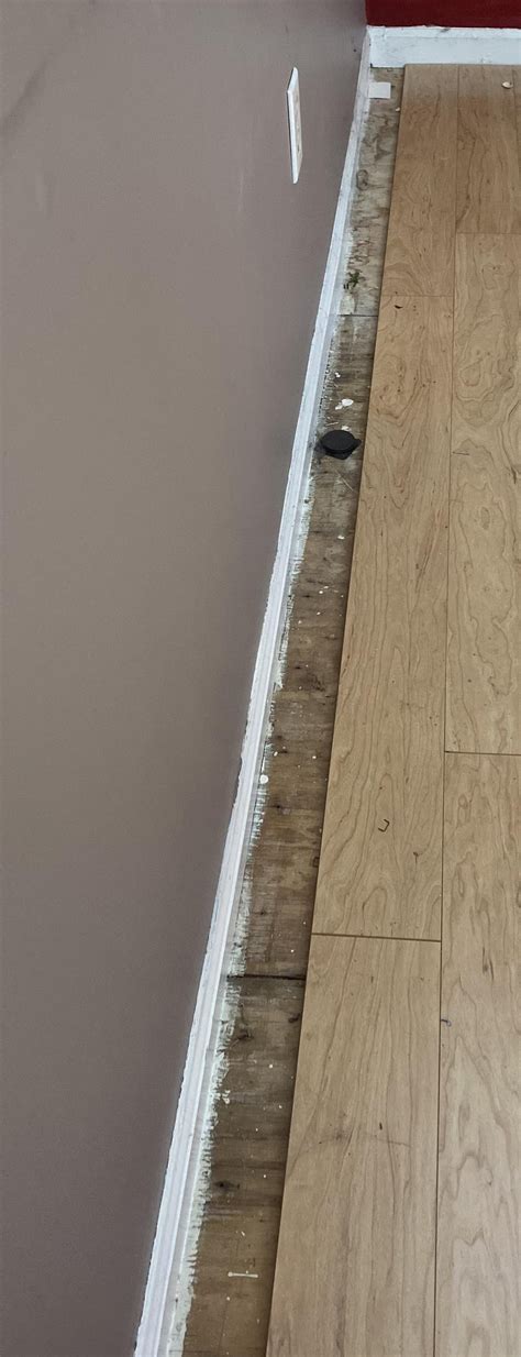 Pergo Flooring replacement : r/DIY