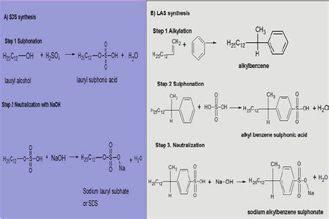 2 Chemical Synthesis Of Anionic Surfactants A Sodium Dodecyl