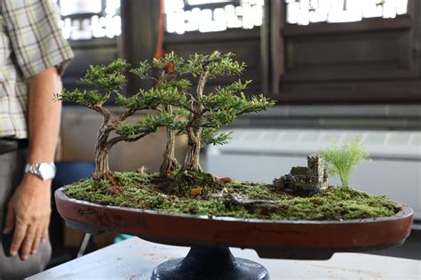 Landscape Bonsai Workshop