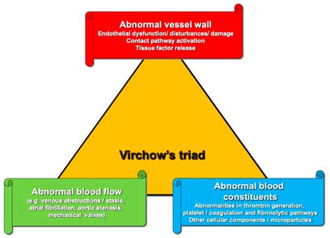 Ijms Free Full Text Autoimmune Diseases Affecting Hemostasis A