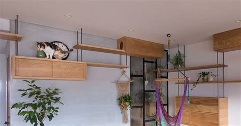 Cat Friendly Apartment in Japan Remodeled for Family's Furry Friend