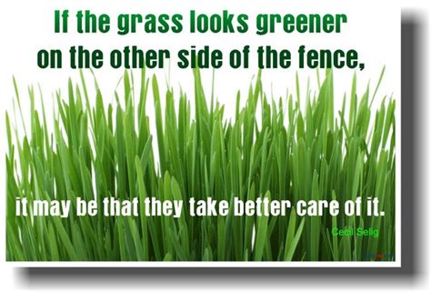 If The Grass Looks Greener On The Other Side Of The Fence It May Be That They Take Better Care