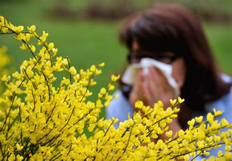 Allergy Season 2018 Starting Earlier Lasting Longer Newsweek