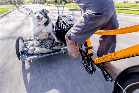 Bike Czar: How to Transport Dogs By Bike » Urban Milwaukee