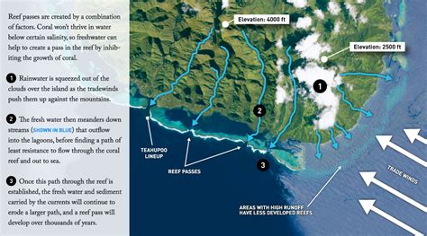 The Mechanics Of Teahupoo Surflinecom