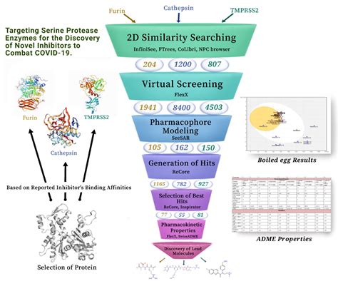 Challenge Project Targeting Serine Protease Enzymes For The Discovery