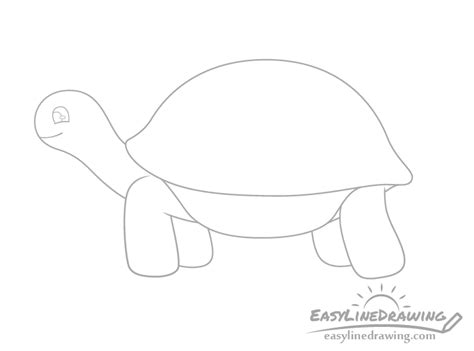 How to Draw a Tortoise Step by Step - EasyLineDrawing