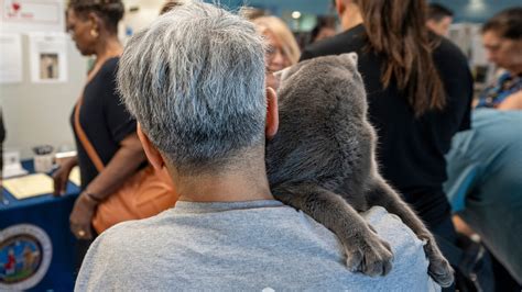 Front street animal shelter waives adoption fees for senior pets 11