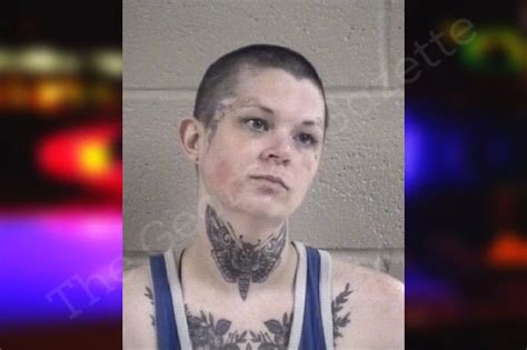 Taylor Guinn Whitfield County Jail Bookings