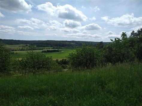 Rehweg Bei Obersulzbach We P Romantisches Franken Urlaub Und Freizeit