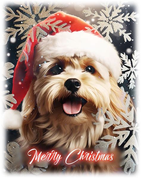 Funny Dog Merry Christmas Stock Image