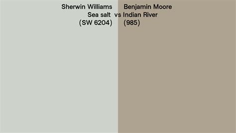 Sherwin Williams Sea Salt Sw 6204 Vs Benjamin Moore Indian River 985