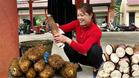 Full Video 60 Harvesting Wild Tubers Bamboo Shoots And Vegetables Bring To The Market To Sell