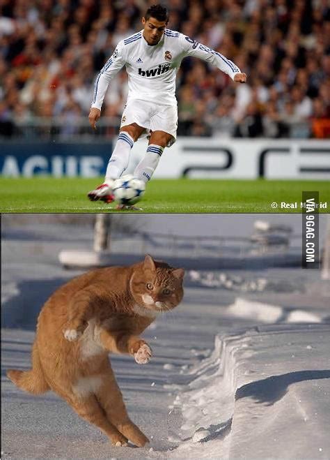 Cat Like A Ronaldo 9gag