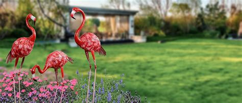 Amazon SUNREEK 3Pcs Metal Flamingo Statues Hot Pink Flamingo